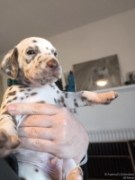 IMG_20250128_112027_web