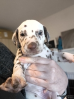 IMG_20250128_112028_web