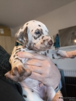 IMG_20250128_112029_web