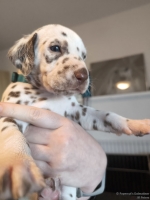 IMG_20250128_112034_web