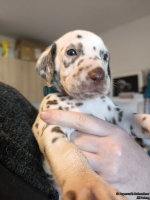 IMG_20250128_112039_web