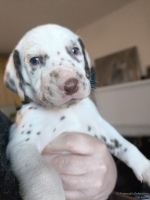 IMG_20250128_112112_web