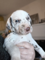 IMG_20250128_112113_web