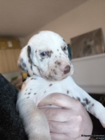 IMG_20250128_112116_web