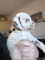 IMG_20250128_112117_web