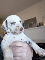 IMG_20250128_112120_web