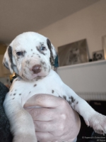 IMG_20250128_112121_web