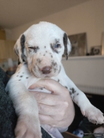 IMG_20250128_112122_web