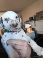 IMG_20250128_112148_web