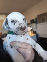 IMG_20250128_112149_web