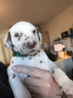 IMG_20250128_112153_web