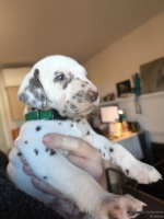 IMG_20250128_112155_web