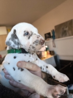 IMG_20250128_112156_web