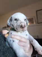 IMG_20250128_112200_web