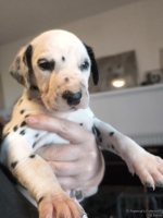 IMG_20250128_112238_web