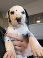 IMG_20250128_112241_web