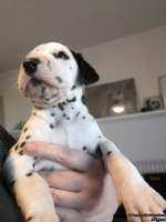 IMG_20250128_112243_web