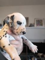 IMG_20250128_112245_web