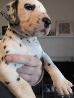 IMG_20250128_112248_web