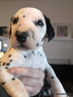 IMG_20250128_112250_web