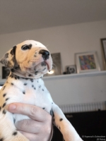 IMG_20250128_112253_web