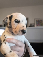 IMG_20250128_112255_web