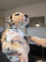 IMG_20250128_112304_web