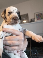 IMG_20250128_112346_web