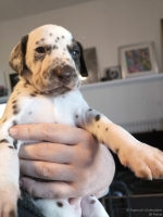 IMG_20250128_112347_web