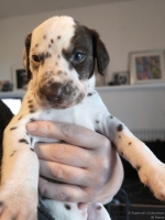 IMG_20250128_112349_web