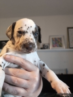 IMG_20250128_112350_web