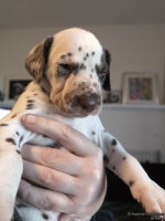 IMG_20250128_112352_web