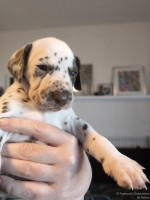 IMG_20250128_112353_web