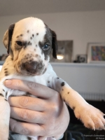 IMG_20250128_112356_web