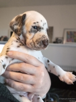 IMG_20250128_112359_web