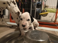 1_IMG_20250124_181035_web