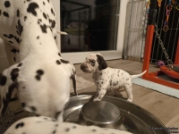 1_IMG_20250124_181310_web