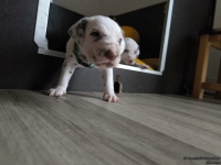 IMG_20250122_133450_web