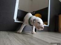 IMG_20250122_133452_web