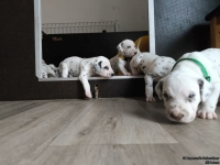 IMG_20250122_133528_web