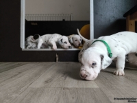 IMG_20250122_133530_web