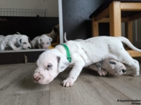 IMG_20250122_133532_web