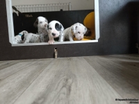 IMG_20250122_133539_web