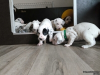 IMG_20250122_133543_web