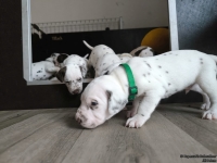 IMG_20250122_133547_web