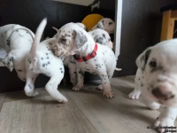 IMG_20250122_133733_web