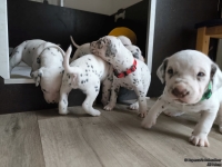 IMG_20250122_133734_web