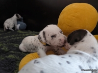 IMG_20250122_133802_web