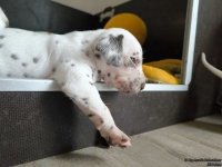 IMG_20250122_133820_web