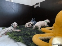 IMG_20250122_133835_web